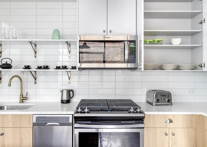 River N 1br W Gym Rooftop Nr L Parks Chi-321