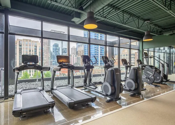 River N 1br W Gym Rooftop Nr L Parks Chi-321 Apartment