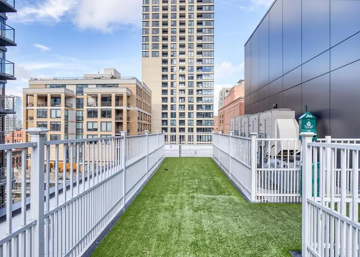 River N 1br W Gym Rooftop Nr L Parks Chi-321